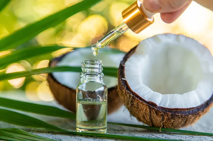 Perbandingan mesin screw press minyak otomatis