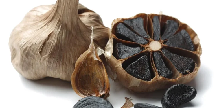 Memulai Usaha Black Garlic
