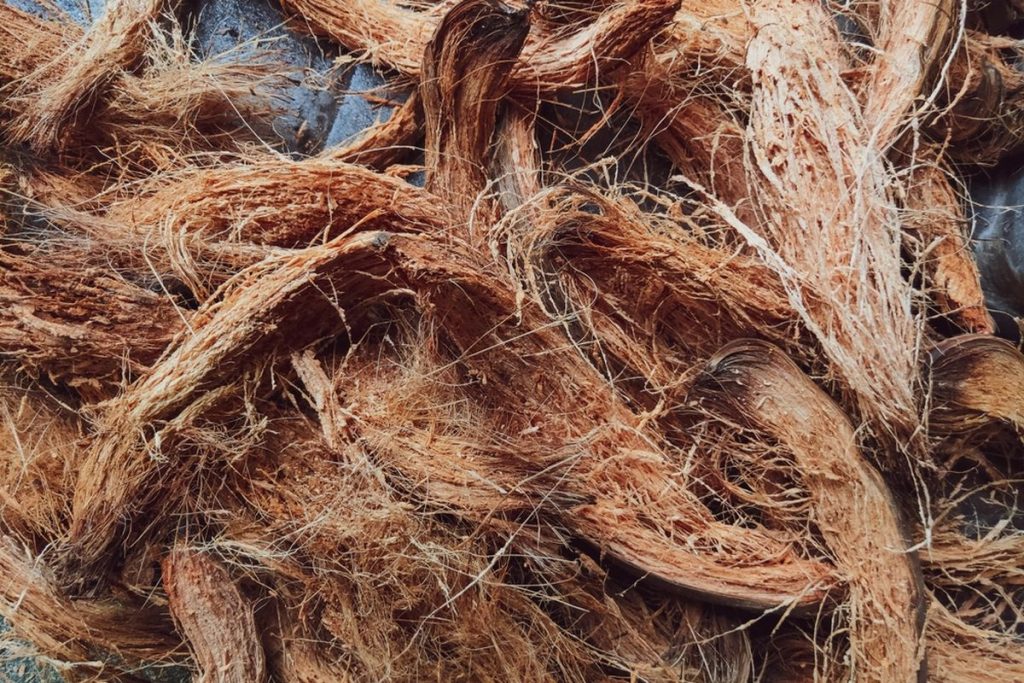 sabut kelapa untuk energi biomassa terbarukan