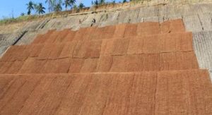 Sabut kelapa untuk pengayaan tanah kebun