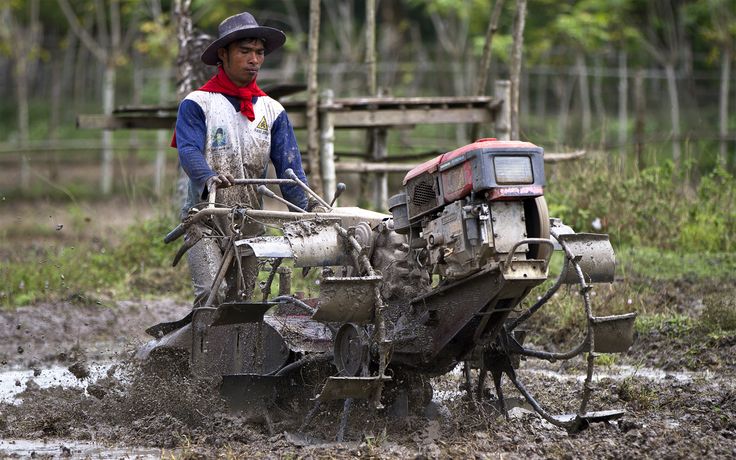 usaha pengolahan lahan pertanian