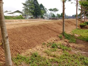 cocomesh mendukung SDGs lingkungan