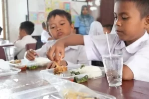 efek samping kebijakan mbg