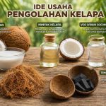 ide usaha pengolahan kelapa