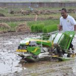 solusi kelangkaan tenaga tanam padi