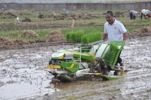 solusi kelangkaan tenaga tanam padi