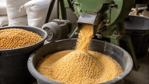 jagung kering bisa digiling mesin