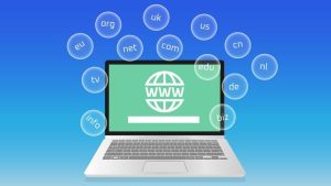Cara Menilai Expired Domain Sebelum Digunakan untuk SEO