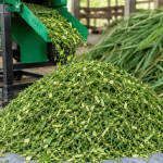 apa manfaat rumput dicacah