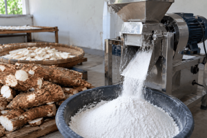 proses pembuatan tepung mocaf