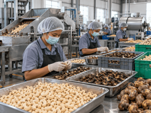 proses pemisahan biji kacang mete
