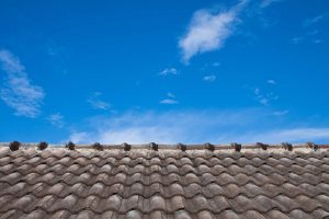 tips memilih genteng untuk rumah